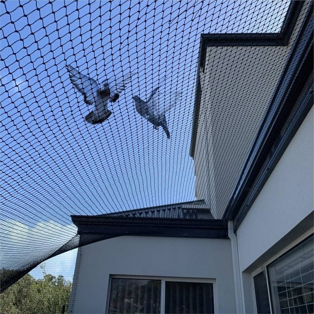 Bird Control & Safety Nets