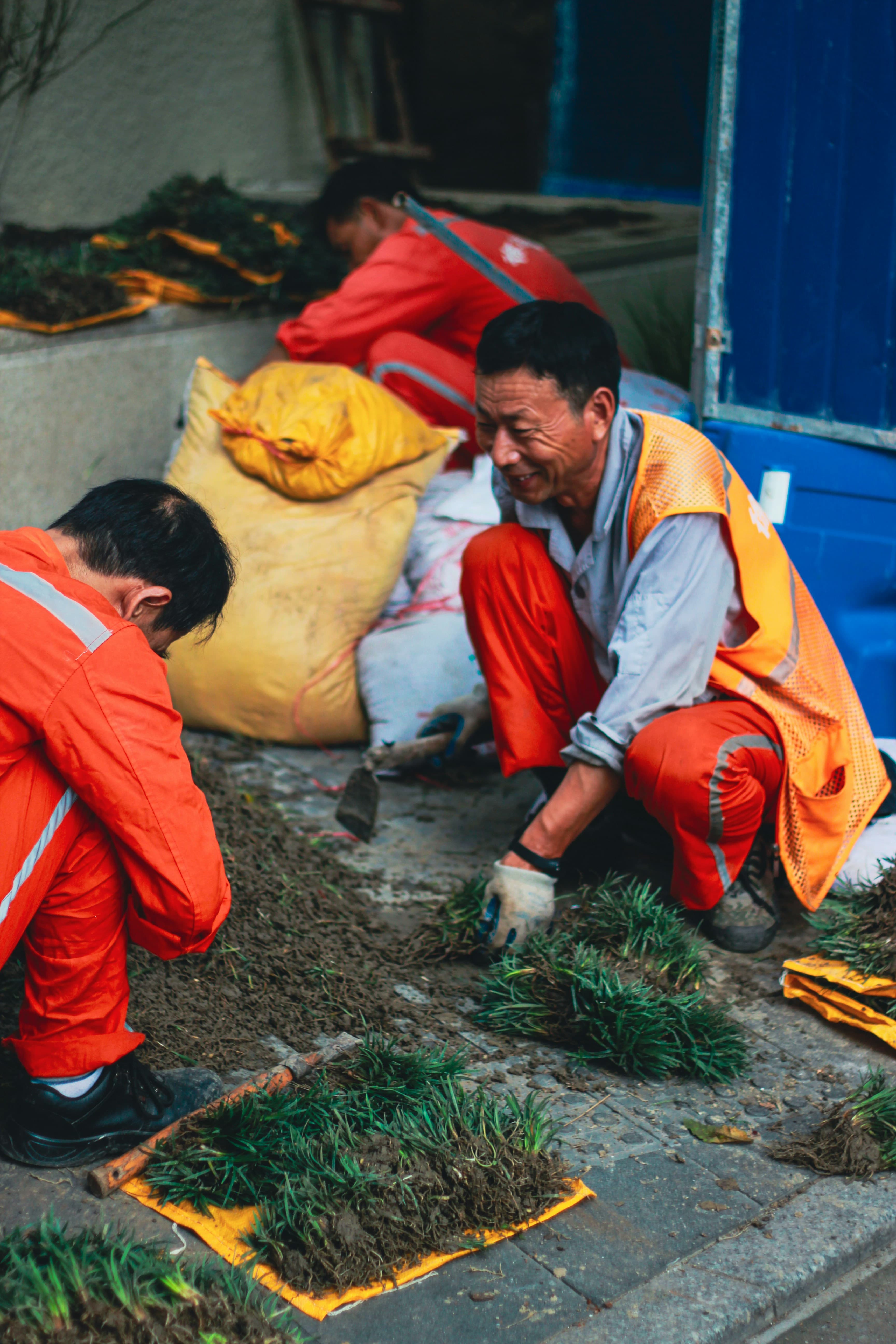 Maintained & Manicured Landscaping Services