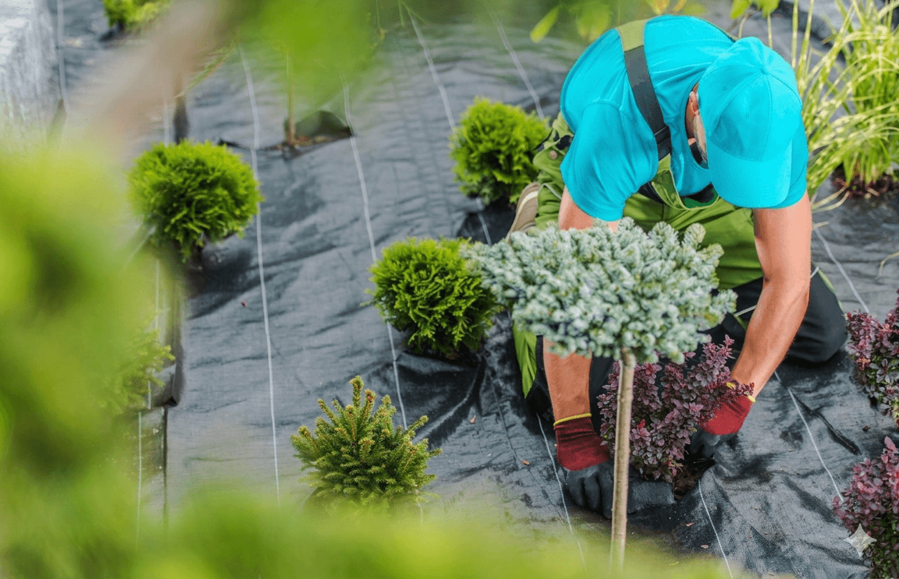 Landscaping & Horticulture Services