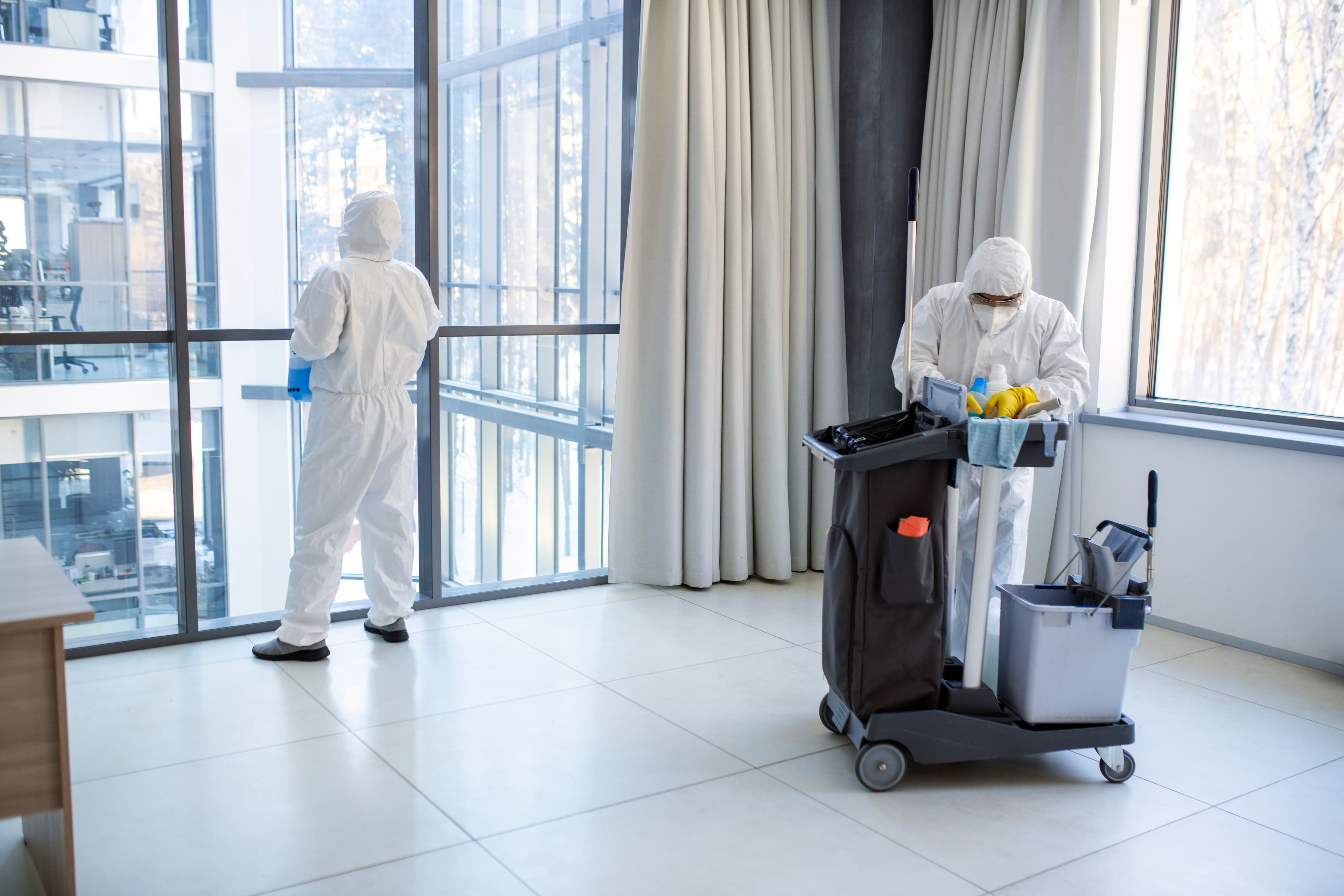 Sanitization and Disinfection Services