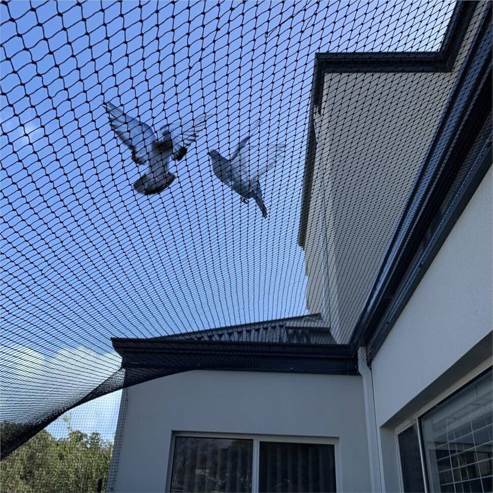 Bird Control & Safety Nets